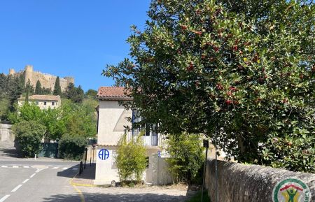 Gîte n°30G13282 Montfaucon - Gard - photo