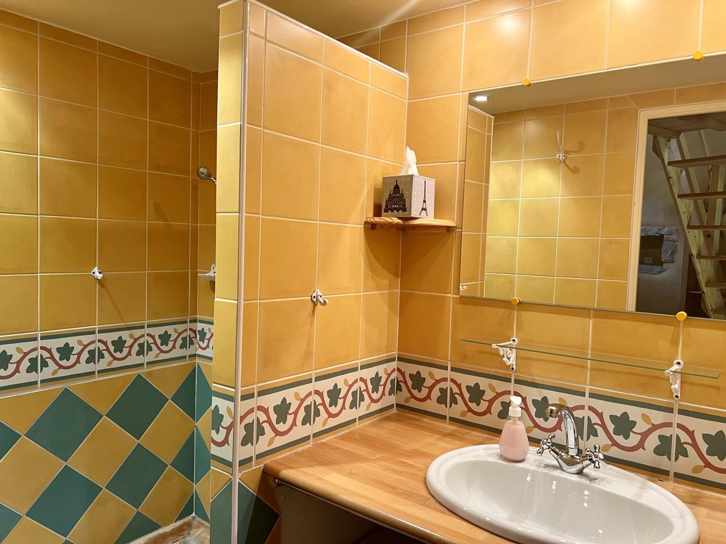 Chambre Jaune salle de bain photo 12