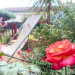 gite - la Terrasse - MOUSSAC - Gard