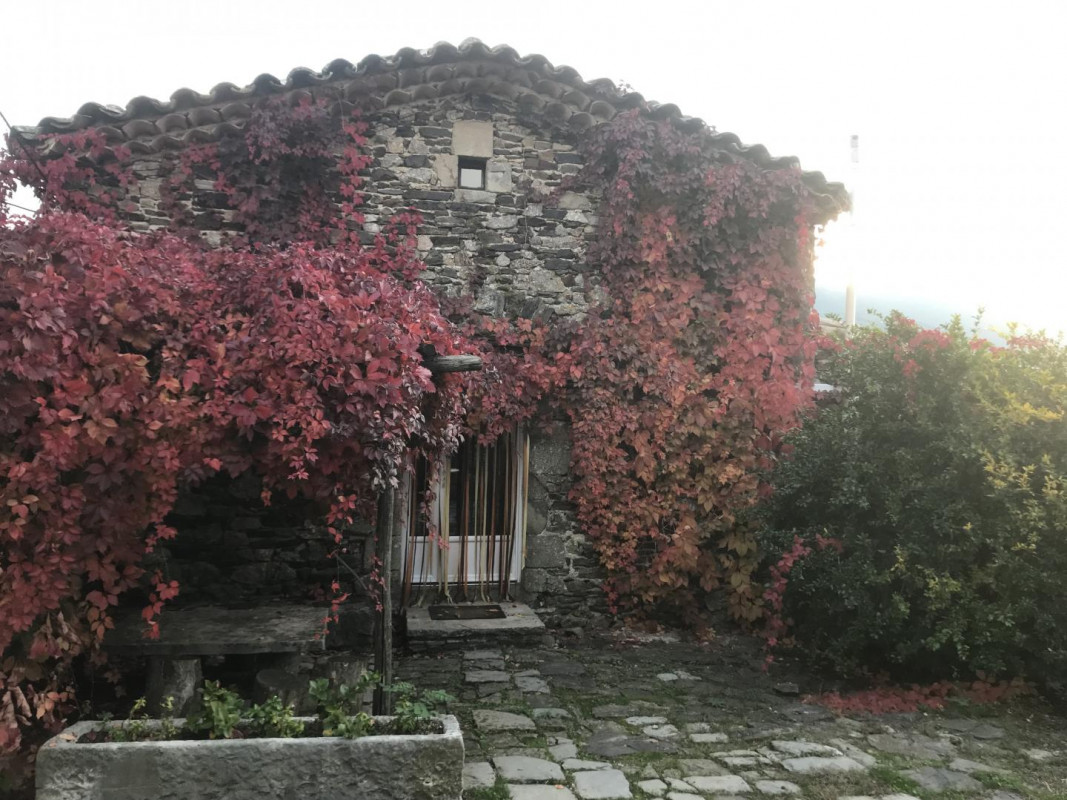 photo 39