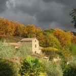 gite - La Maisonnette - SAINT MARTIAL - Gard